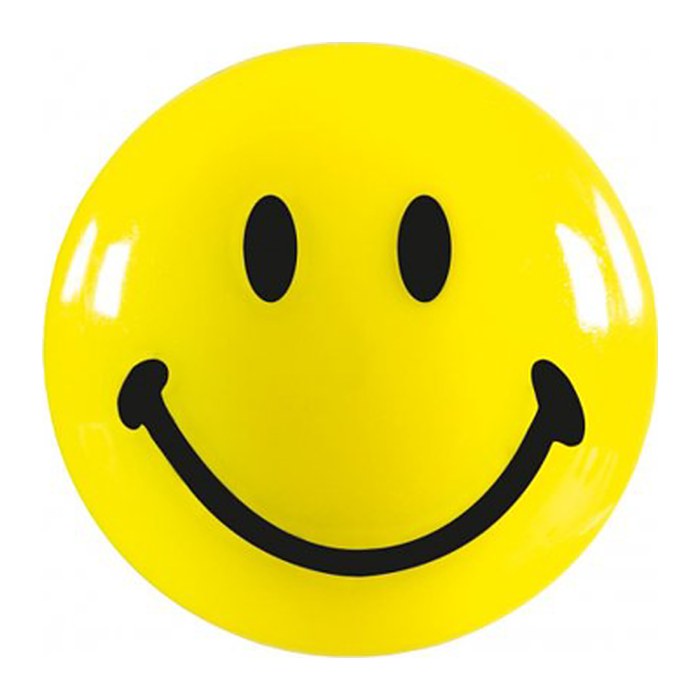 magnetoplan Smilie Magnete Motiv, Kunststoff Ø 3,0 cm, 6 St.