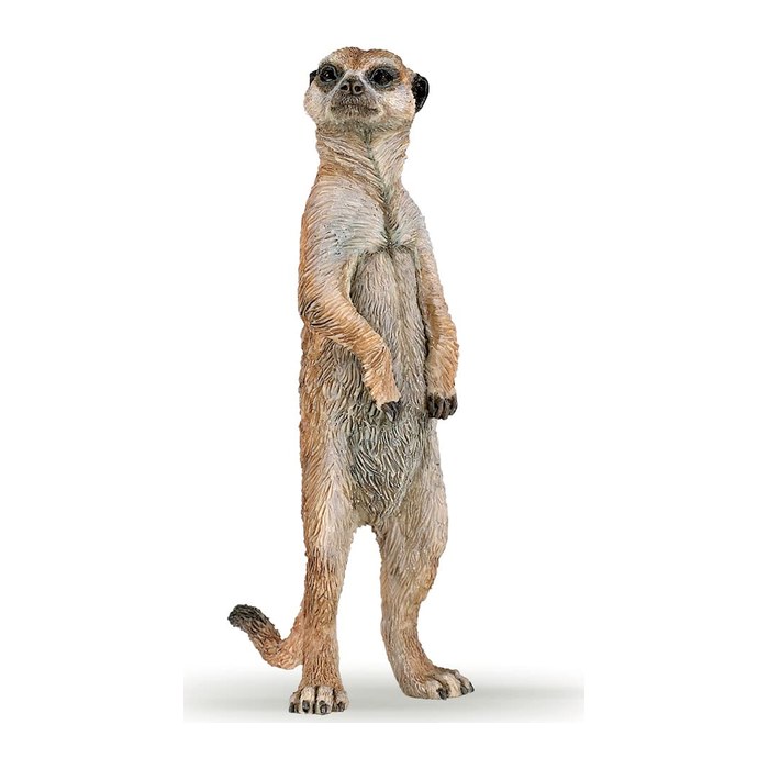 papo Wildtiere der Welt 50206 Stehendes Erdmännchen Spielfigur