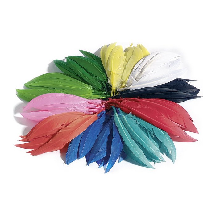 folia Federn mehrfarbig Indianerfedern bunt 10 g, 1 Pack