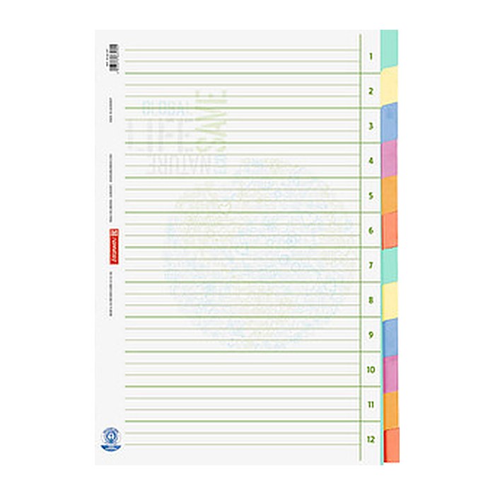 BRUNNEN Ordnerregister Recycling DIN A4 Vollformat blanko beige 12-teilig, 1 Satz