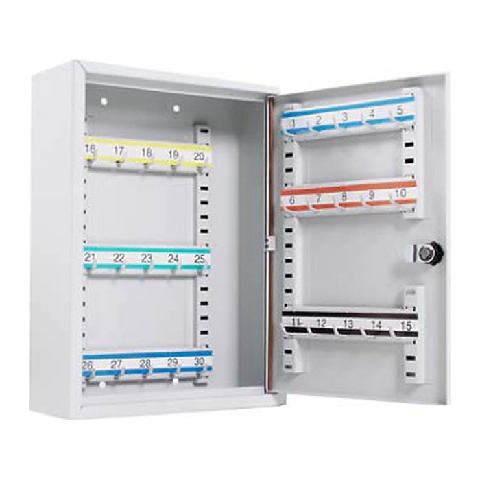 ISS Ulm Schlüsselkasten lichtgrau mit 30 Haken, Zylinderschloss, 23,0 x 8,0 x 30,5 cm, 1 St.