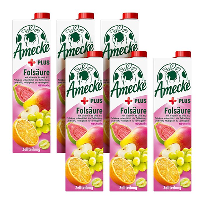 Amecke + Folsäure Fruchtsaftkonzentrat 6x 1,0 l