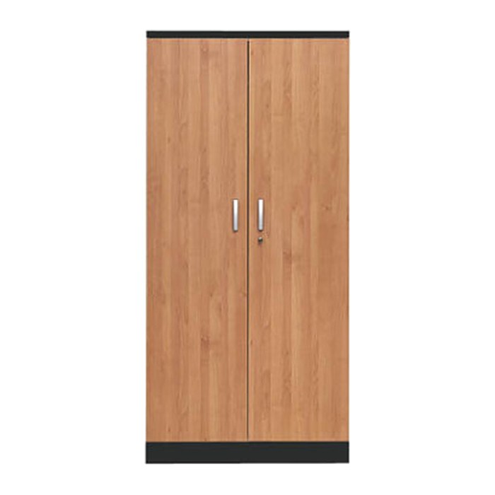 Gürkan Stahlschrank 100127 tiefschwarz, erle 4 Fachböden 92,0 x 42,0 x 195,0 cm, aufgebaut, 1 St.