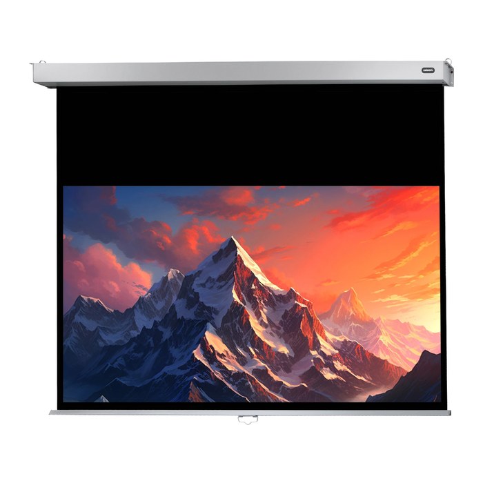 celexon Rolloleinwand Professional Plus 16:9, 200 x 113 cm Projektionsfläche