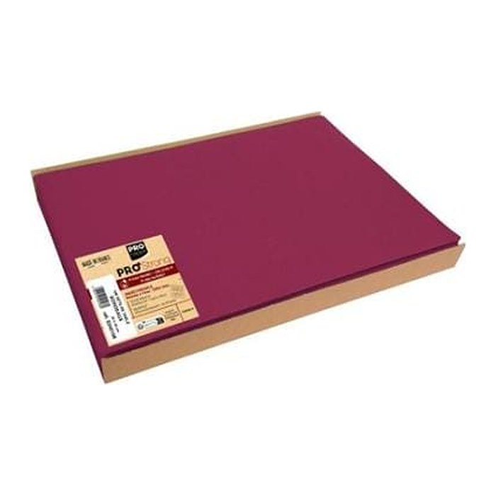 PROnappe Platzsets rot 30,0 x 40,0 cm, 100 St.