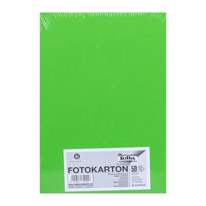 folia Fotokarton grün 300 g/qm 50 St.