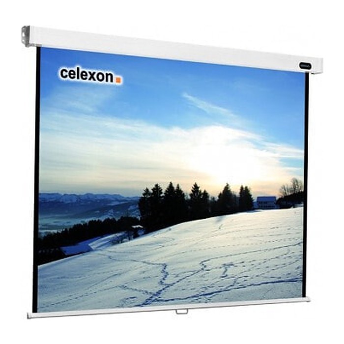 celexon Rolloleinwand Professional 1:1, 160 x 160 cm Projektionsfläche