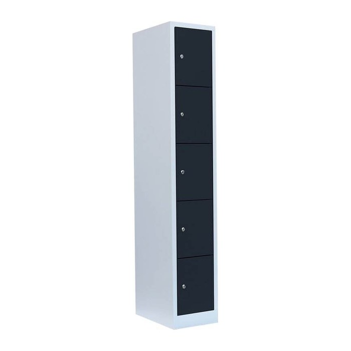 LÜLLMANN Schließfachschrank anthrazit, lichtgrau 520518, 5 Schließfächer 31,5 x 50,0 x 180,0 cm