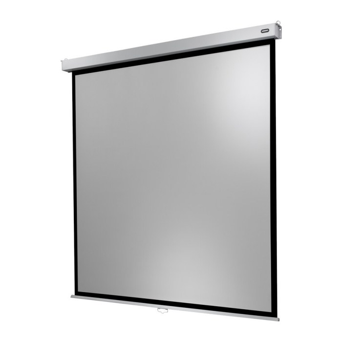celexon Rolloleinwand Professional Plus 1:1, 120 x 120 cm Projektionsfläche