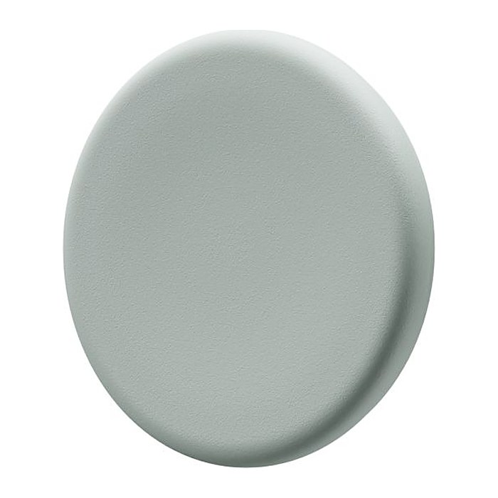 Legamaster Magnete grün, Metall Ø 3,0 cm, 5 St.