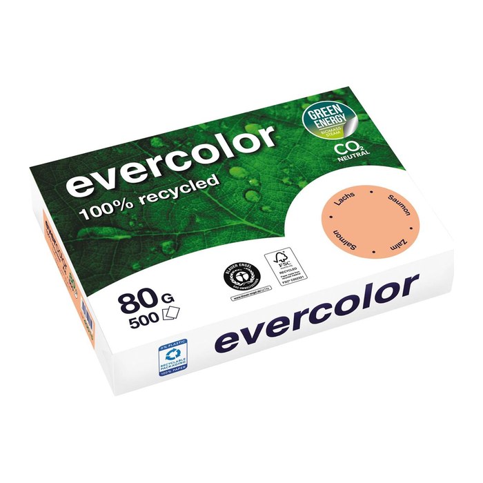 Clairefontaine Recyclingpapier Evercolor lachs DIN A4 80 g/qm 500 Blatt