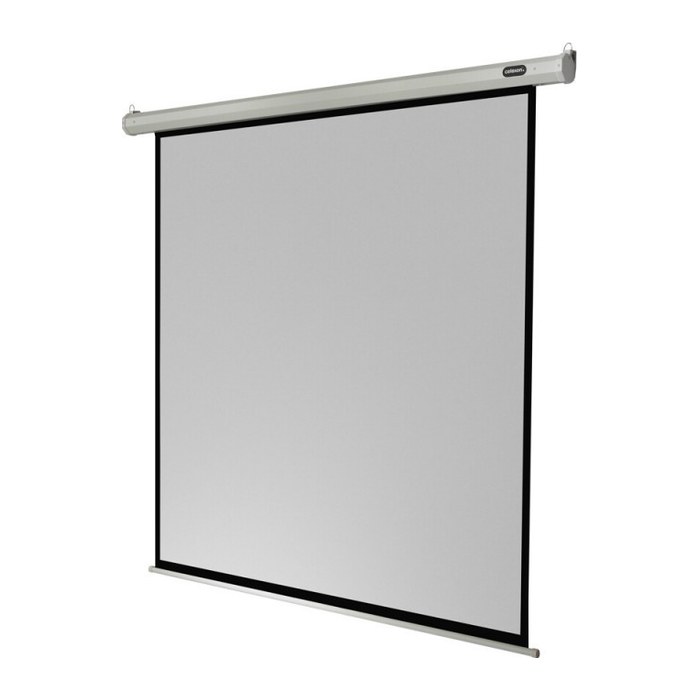 celexon elektrische Rolloleinwand Economy Motor 1:1, 160 x 160 cm Projektionsfläche