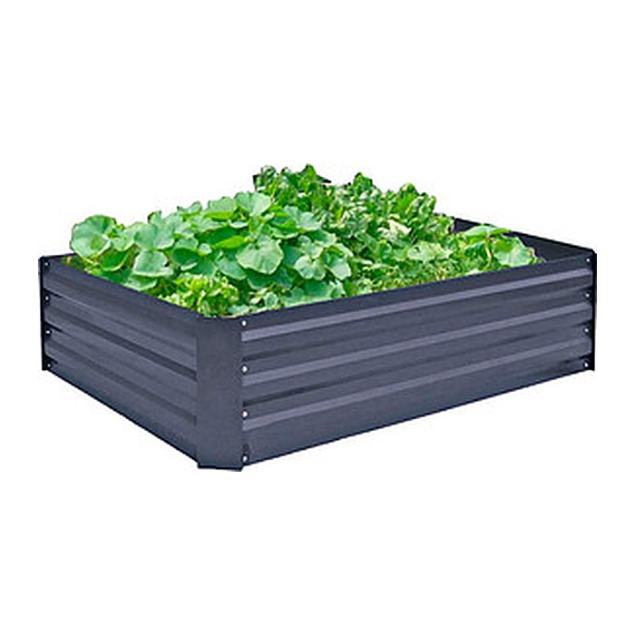 Garden Pleasure Frühbeet BOTANIKA Metall anthrazit rechteckig 120,0 x 90,0 x 30,0 cm, 1 St.