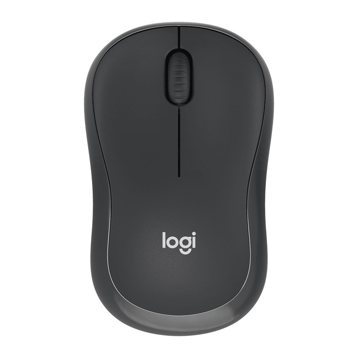 Logitech Wireless Mouse M240 silent graphite retail