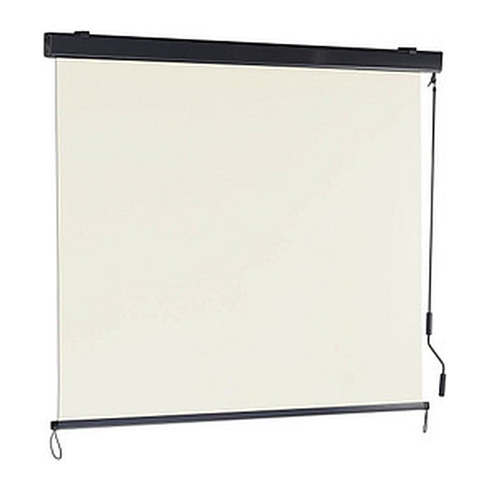 relaxdays Seitenmarkise beige 250,0 x 160,0 cm