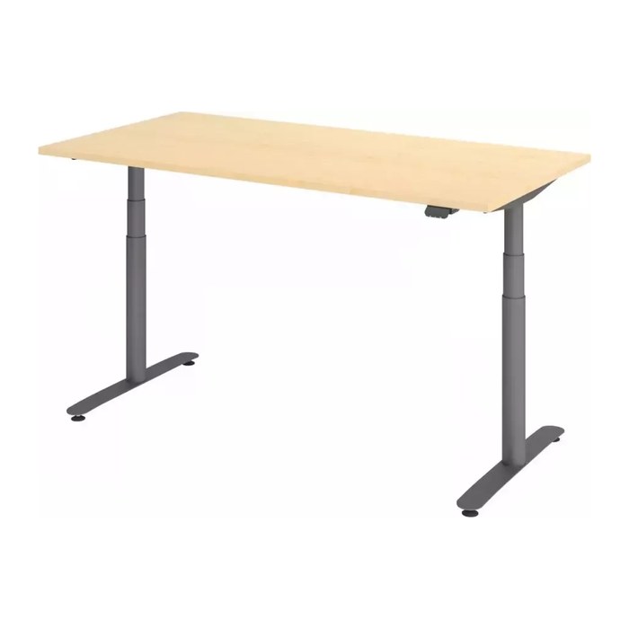 HAMMERBACHER VXDLR16 elektrisch höhenverstellbarer Schreibtisch ahorn rechteckig, T-Fuß-Gestell grau 160,0 x 80,0 cm
