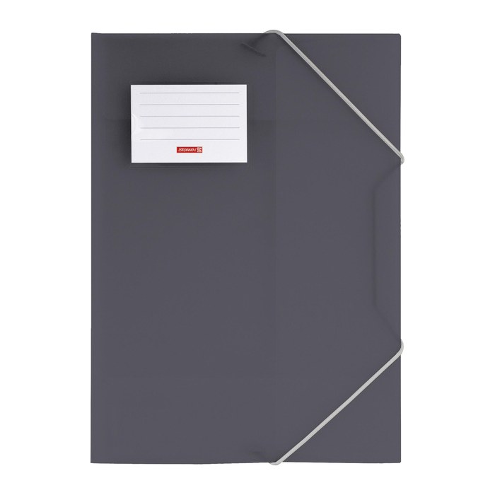BRUNNEN Sammelmappe FACT!pp DIN A4 grau transparent, 1 St.