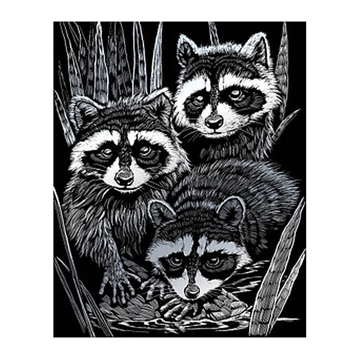 PRACHT® Creatives Kratzbild Waschbären silber