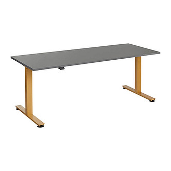 HAMMERBACHER XMST19 elektrisch höhenverstellbarer Schreibtisch grafit rechteckig, T-Fuß-Gestell gold 180,0 x 80,0 cm
