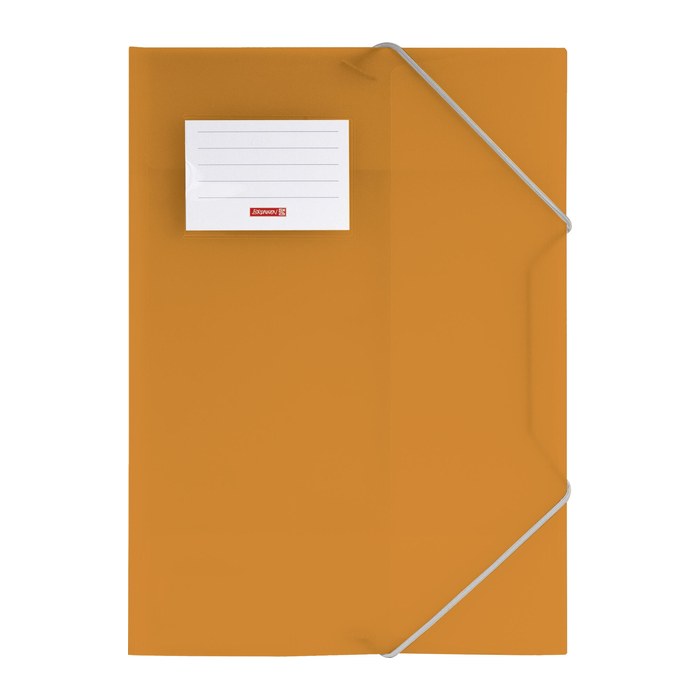 BRUNNEN Sammelmappe FACT!pp DIN A4 orange transparent, 1 St.