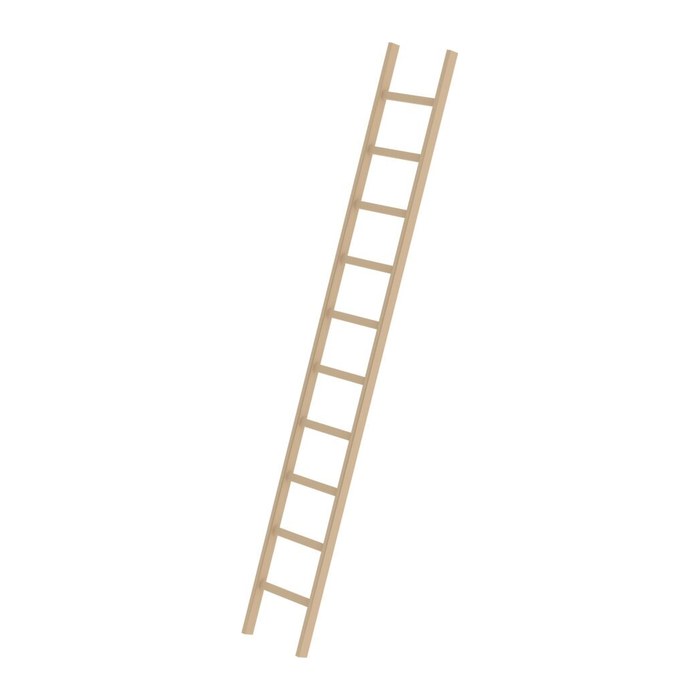 MUNK Anlegeleiter 33110 natur 10 Sprossen, H: 300,0 cm