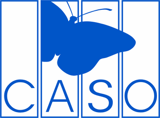caso Logo
