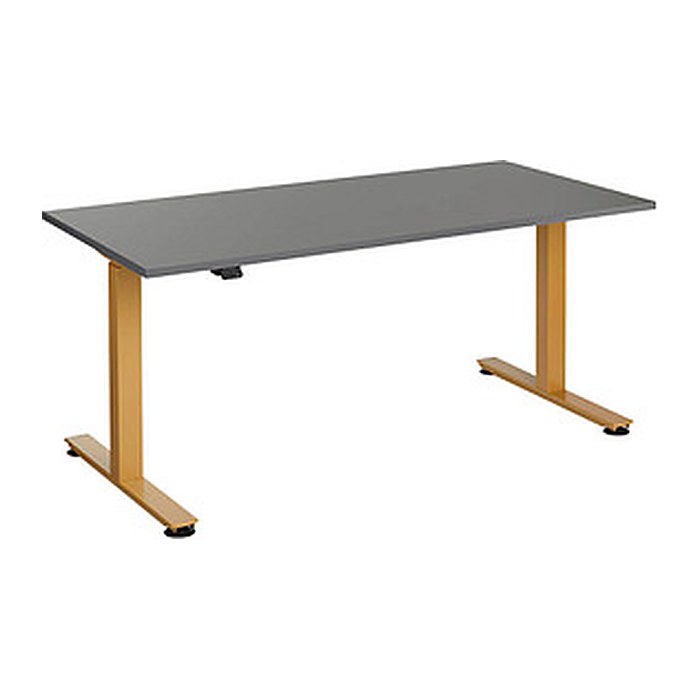 HAMMERBACHER XMST16 elektrisch höhenverstellbarer Schreibtisch grafit rechteckig, T-Fuß-Gestell gold 160,0 x 80,0 cm