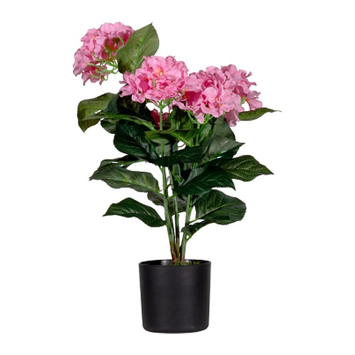 meet powered by PAPERFLOW HORTENSIE Kunstpflanze 55,0 cm