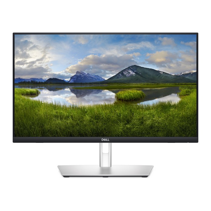 DELL P2424HT Monitor 61,0 cm (24,0 Zoll) silber