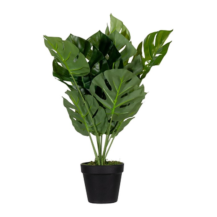 meet powered by PAPERFLOW MONSTERA Kunstpflanze 45,0 cm