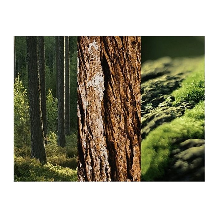 8x4 WILD OAK Deo-Spray 150,0 ml