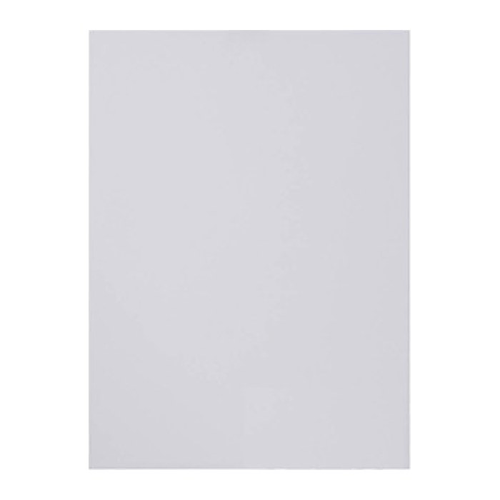 Showdown® Displays Dokumentenschutzfolien transparent A0, 2 St.