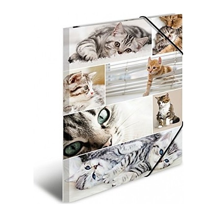 HERMA Sammelmappe A3 Katzen Pappe