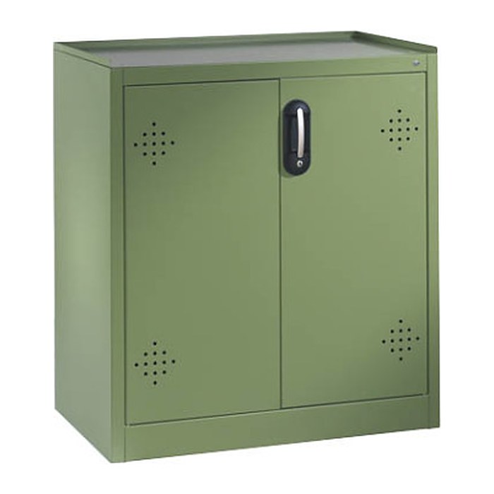 CP Umweltschrank 8821-315 S10163 resedagrün 2 Fachböden 93,0 x 50,0 x 100,0 cm, aufgebaut, 1 St.