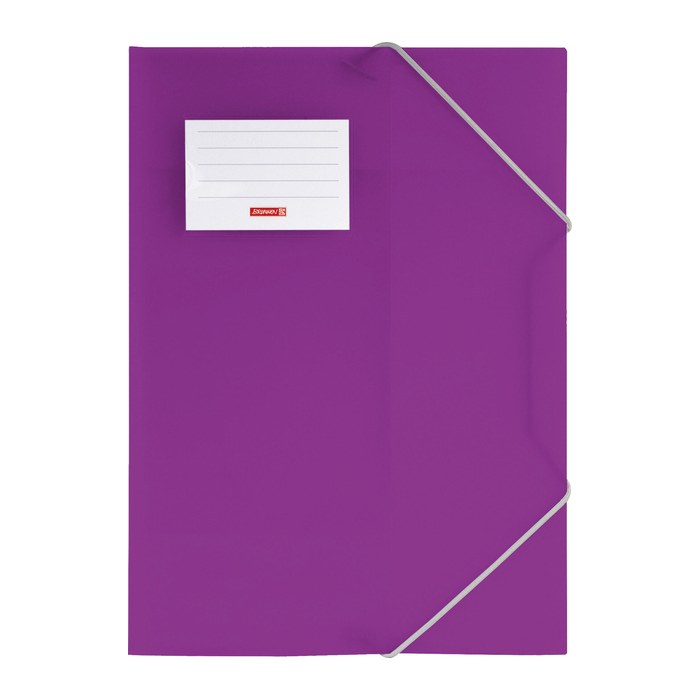 BRUNNEN Sammelmappe FACT!pp DIN A4 purple transparent, 1 St.