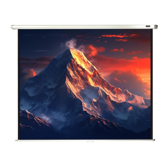 celexon Rolloleinwand Economy 4:3, 180 x 135 cm Projektionsfläche