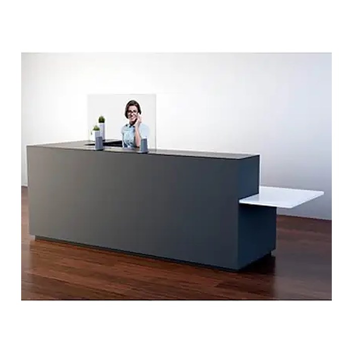 PAPERFLOW Spuckschutz PP65X98, transparent 98,0 x 65,0 cm, 1 St.