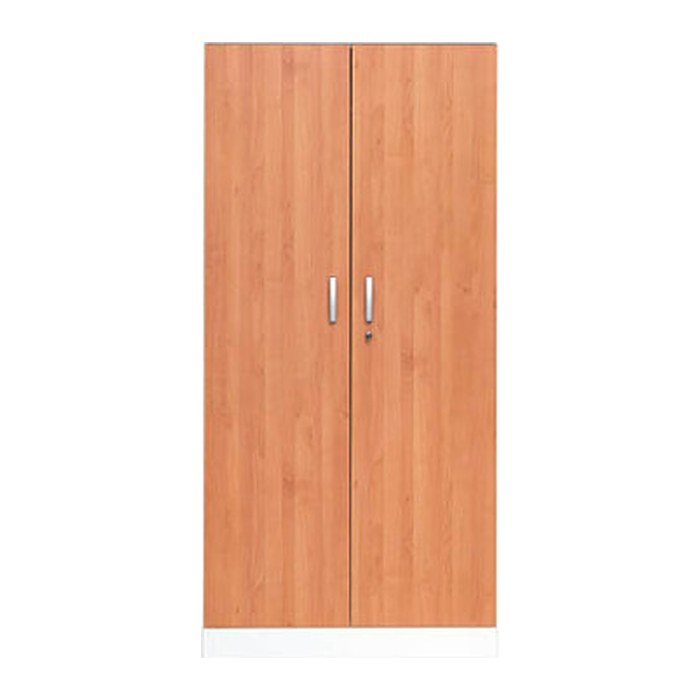 Gürkan Stahlschrank 100115 verkehrsweiß, erle 4 Fachböden 92,0 x 42,0 x 195,0 cm, aufgebaut, 1 St.