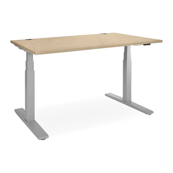 Elektrisch höhenverstellbarer Schreibtisch – Gestell Grau (1600 x 800 mm, Platte Ahorn)