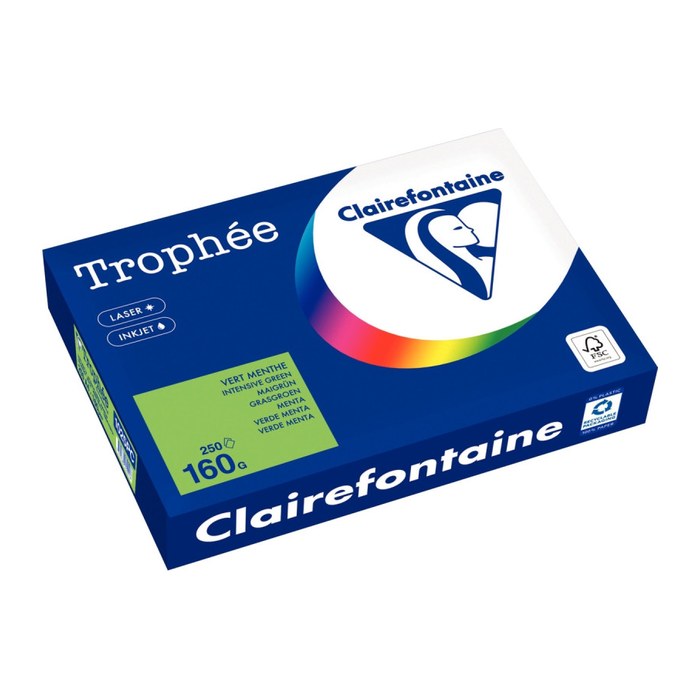 Clairefontaine Kopierpapier Trophée maigrün DIN A4 160 g/qm 250 Blatt
