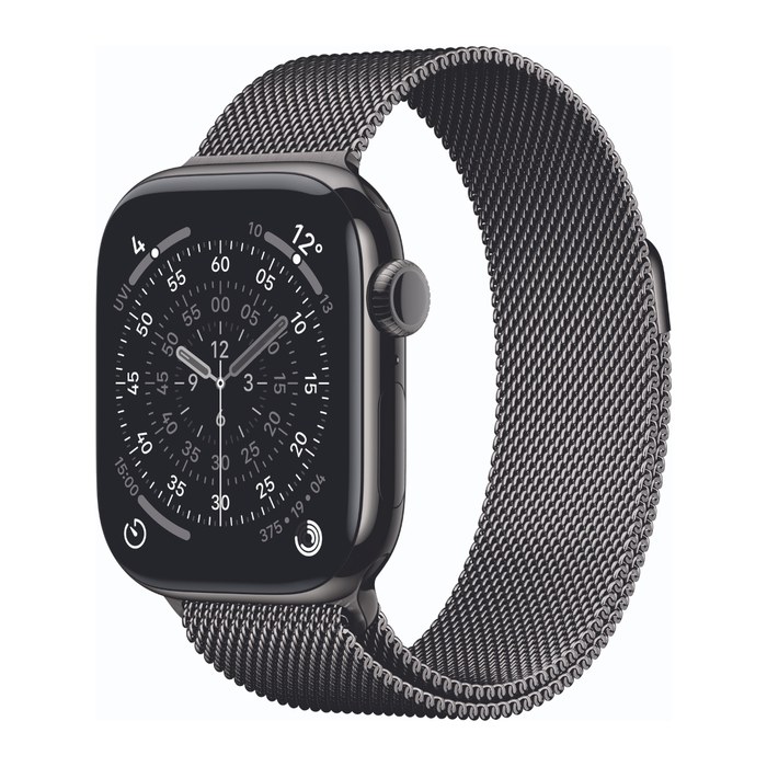 Apple Watch Series 11 42 mm Titan (GPS+Cellular) Sportarmband S/M  schwarz, schiefer
