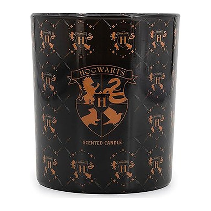 Duftkerze Harry Potter Hogwarts - 135g