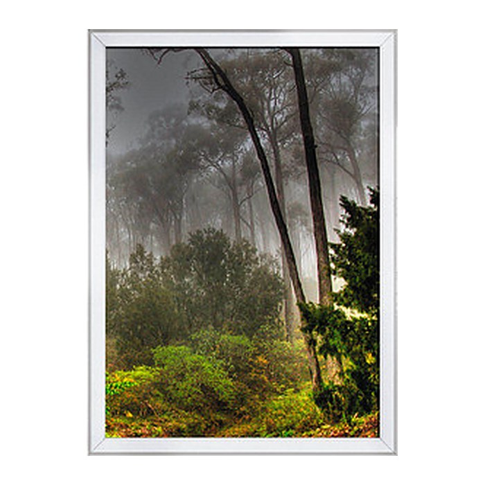 update displays  Klapprahmen silber 62,4 x 87,1 cm, 1 St.