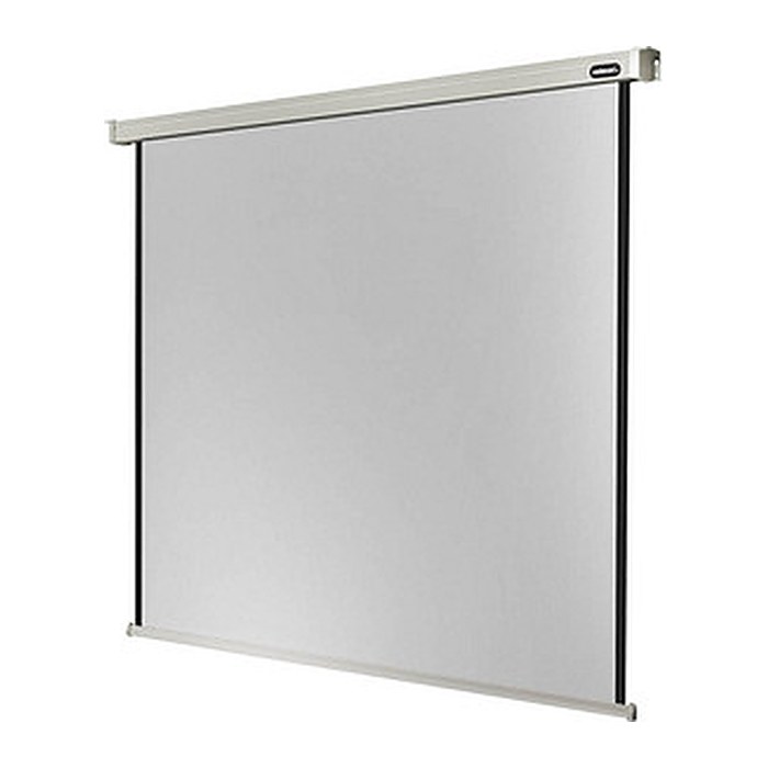 celexon elektrische Rolloleinwand Professional Motor 1:1, 240 x 240 cm Projektionsfläche
