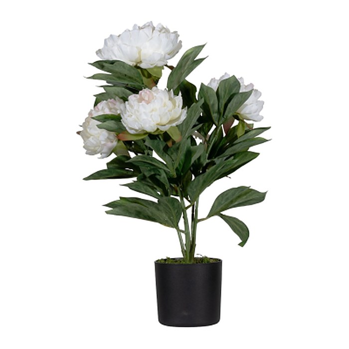 meet powered by PAPERFLOW PFINGSTROSE Kunstpflanze 55,0 cm