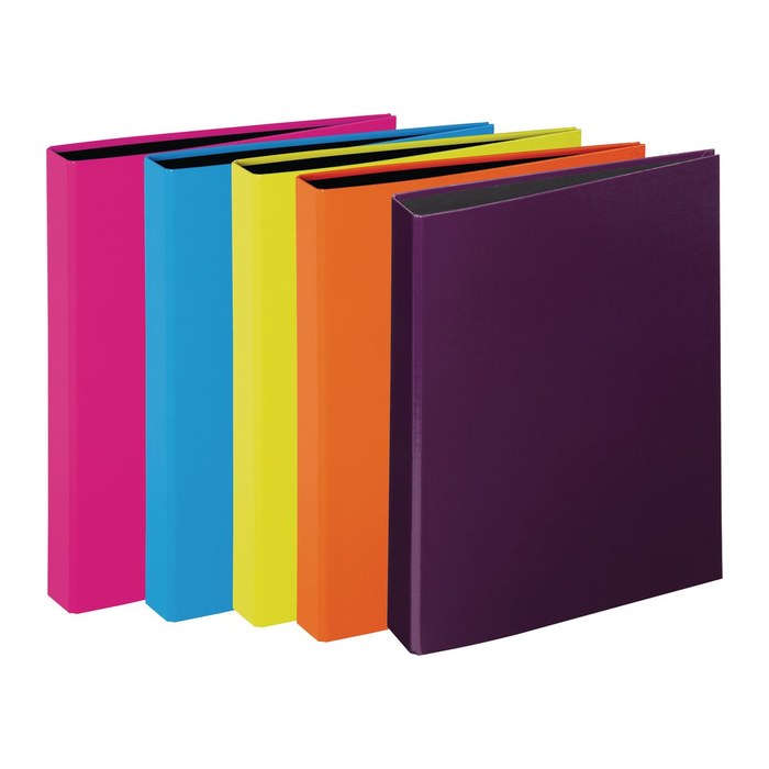 PAGNA Trend Ringbuch 2-Ringe hellblau DIN A4, 1 St.
