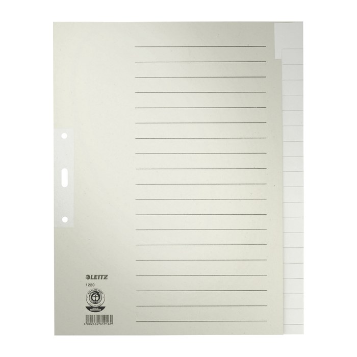 LEITZ Ordnerregister DIN A4+ Vollformat, Überbreite blanko grau 20-teilig, 1 Satz