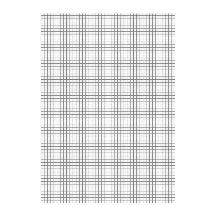 Staufen® Schulhefte Lineatur 28 kariert DIN A4 Innen- und Außenrand, 16 Blatt, 10 St.