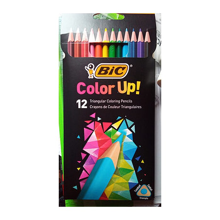 BIC INTENSITY Buntstifte farbsortiert, 12 St.
