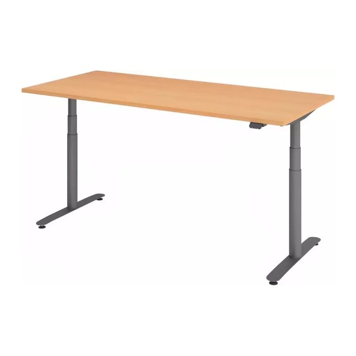 HAMMERBACHER VXDLR19 elektrisch höhenverstellbarer Schreibtisch buche rechteckig, T-Fuß-Gestell grau 180,0 x 80,0 cm